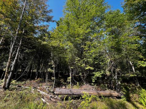 114 Dickvale Road Peru ME 04290