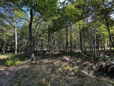 114 Dickvale Road Peru ME 04290