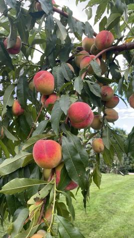 356 Range Road Atkinson ME 04426