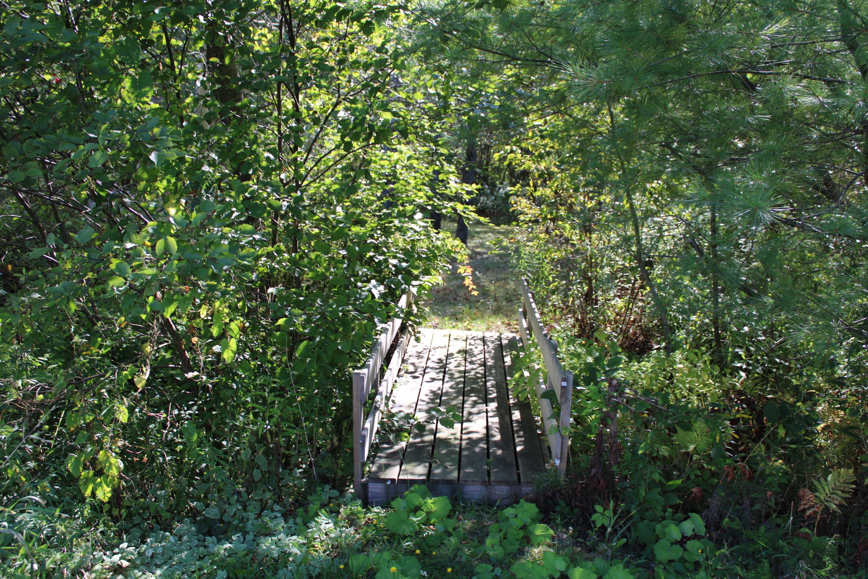 130 Exeter Road Corinth ME 04427