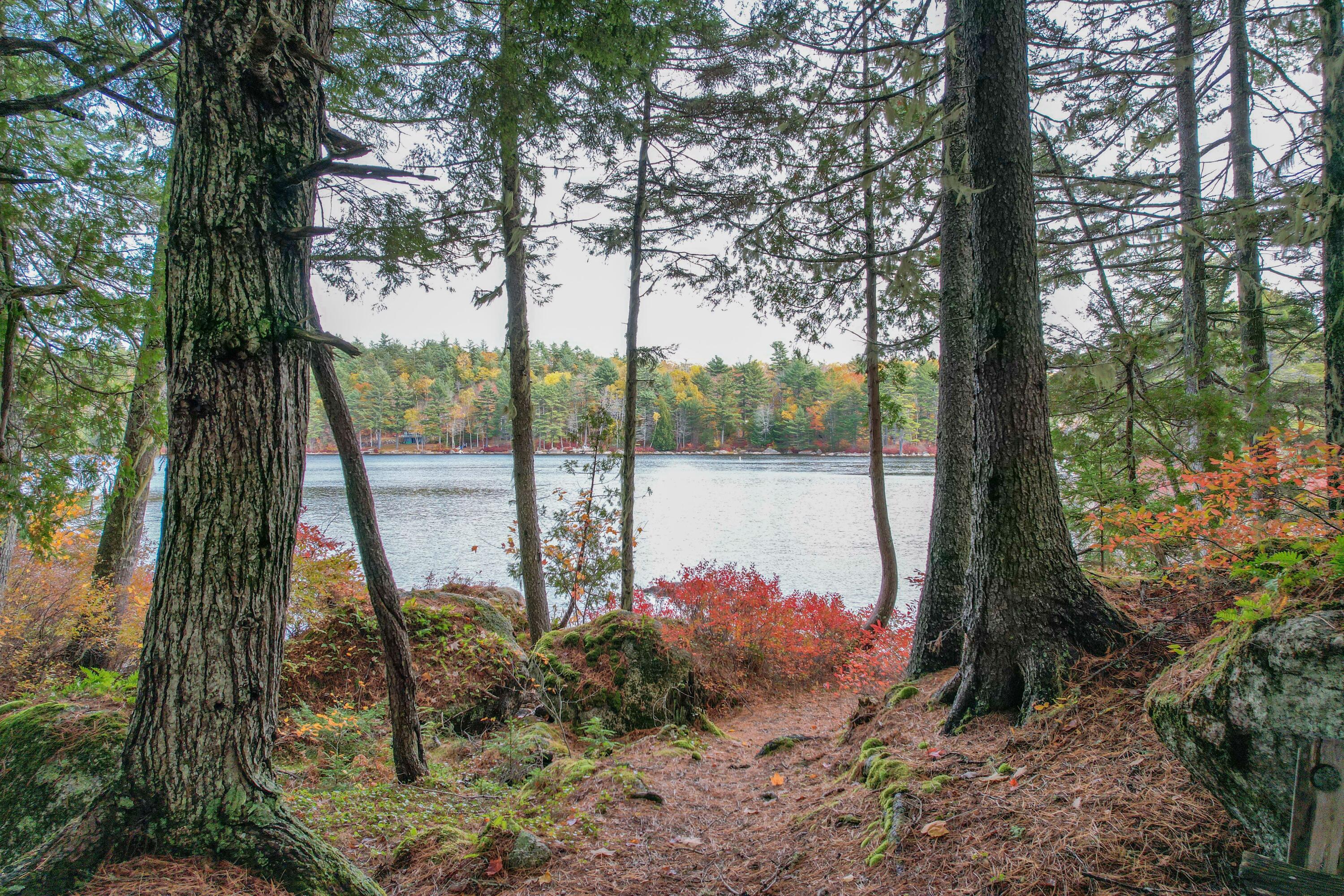 Orland ME, 155 Long Point Way