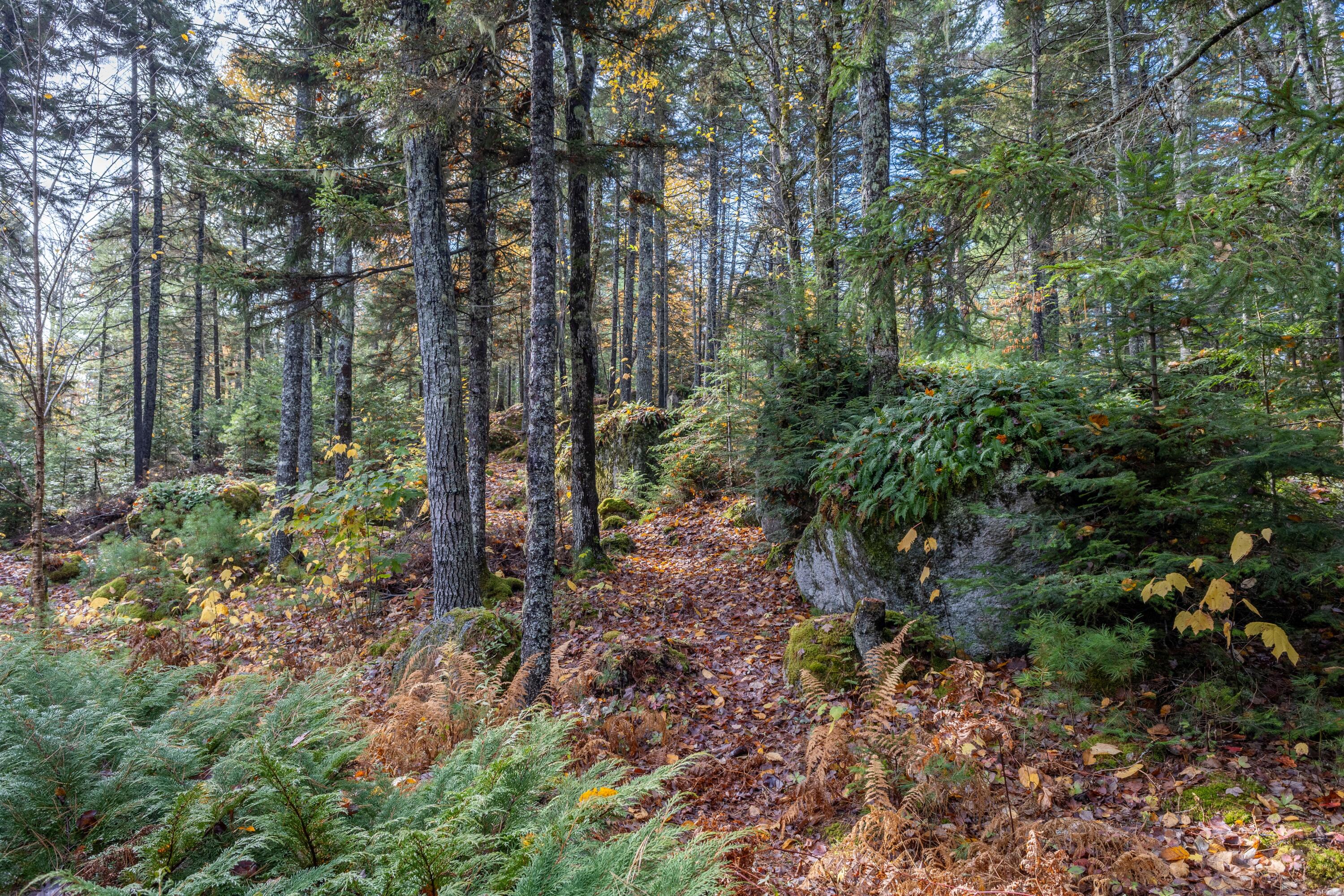 155 Long Point Way Orland ME 04472