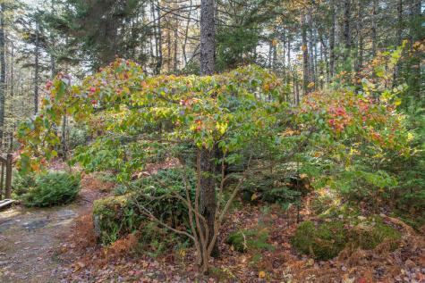 155 Long Point Way Orland ME 04472