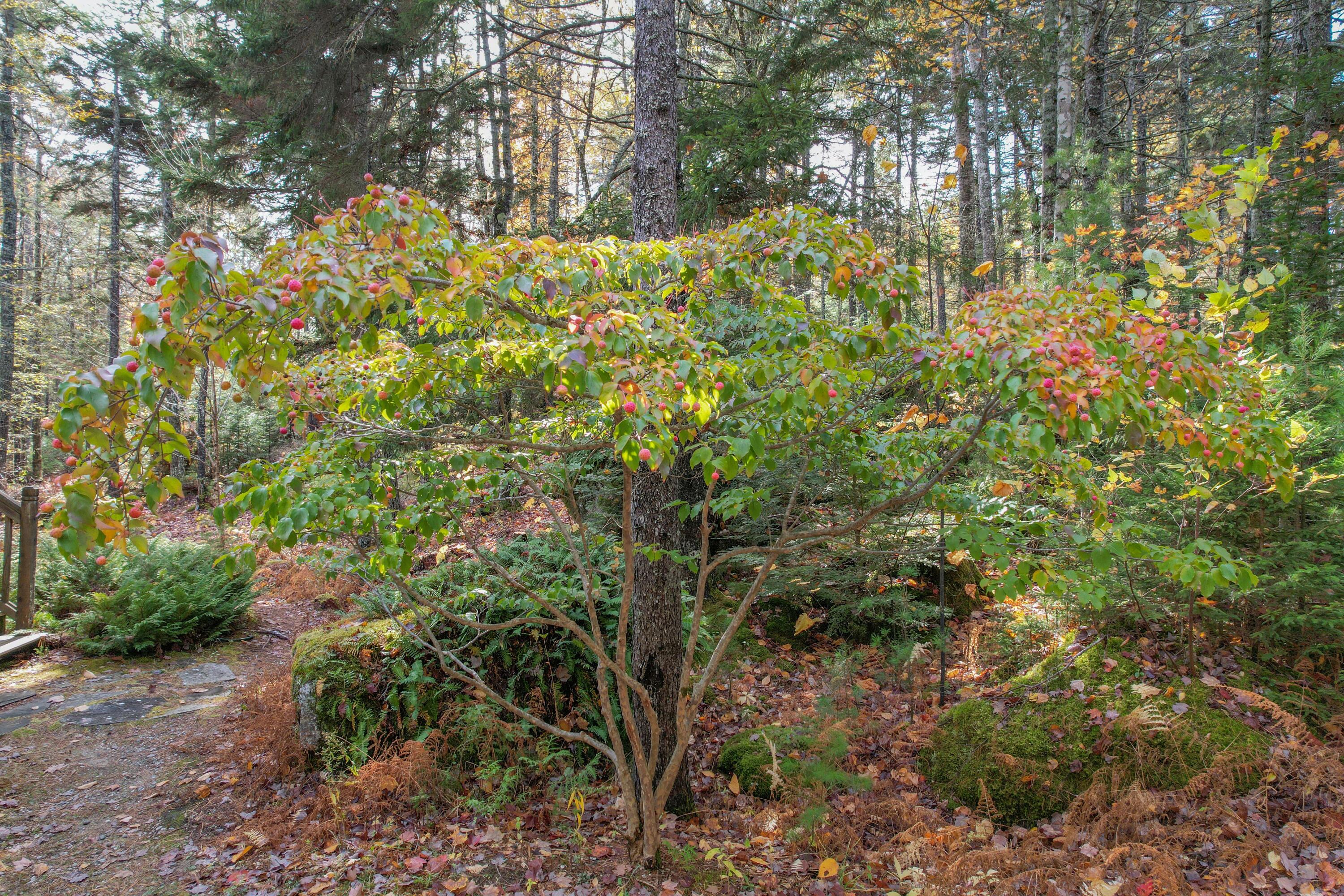 155 Long Point Way Orland ME 04472