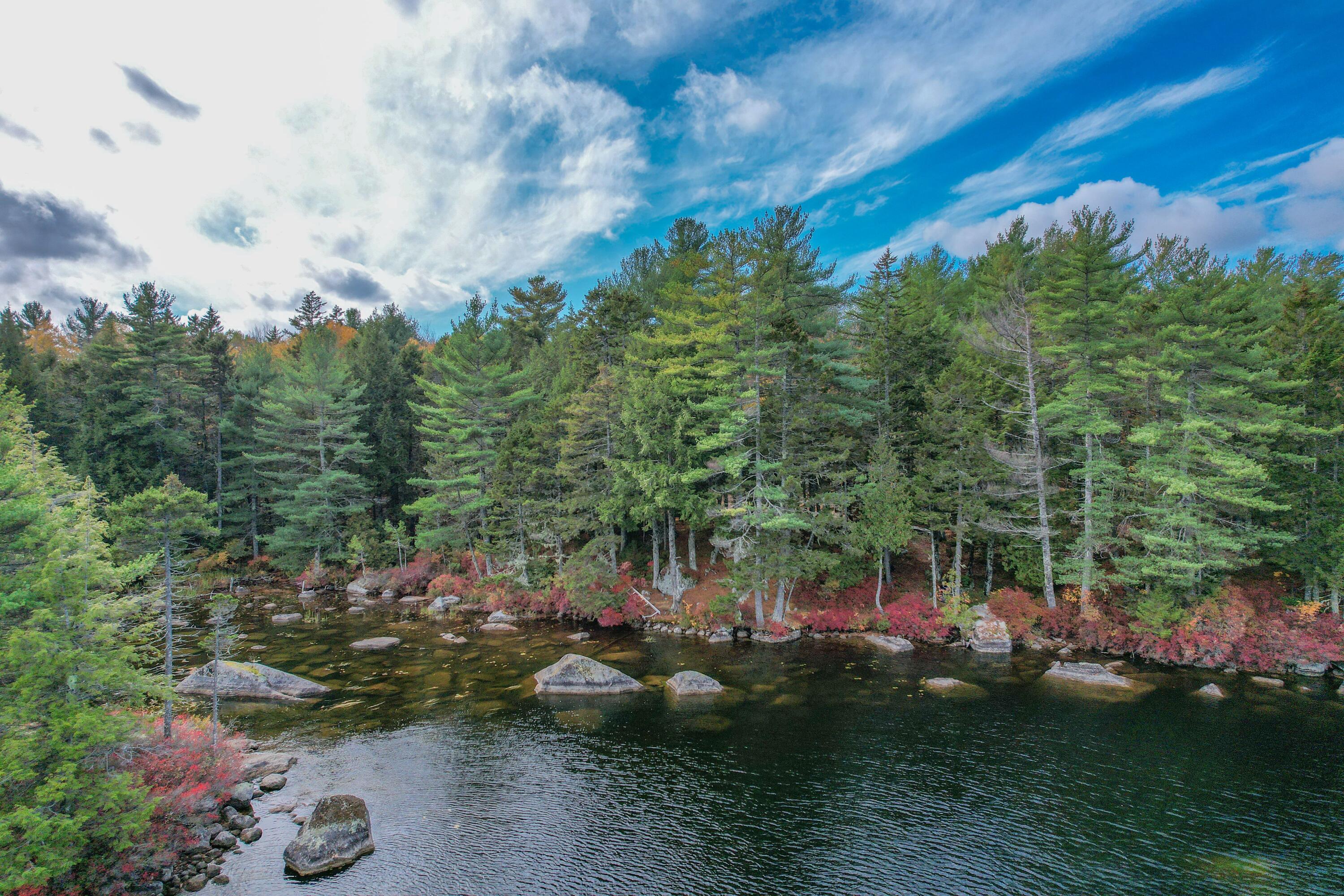 155 Long Point Way Orland ME 04472