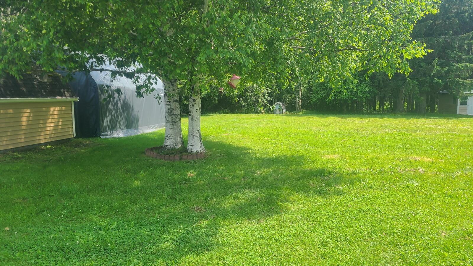 676 Houlton Road Westfield ME 04787