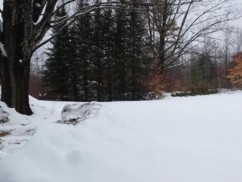 349 Bickford Pond Road Porter ME 04068