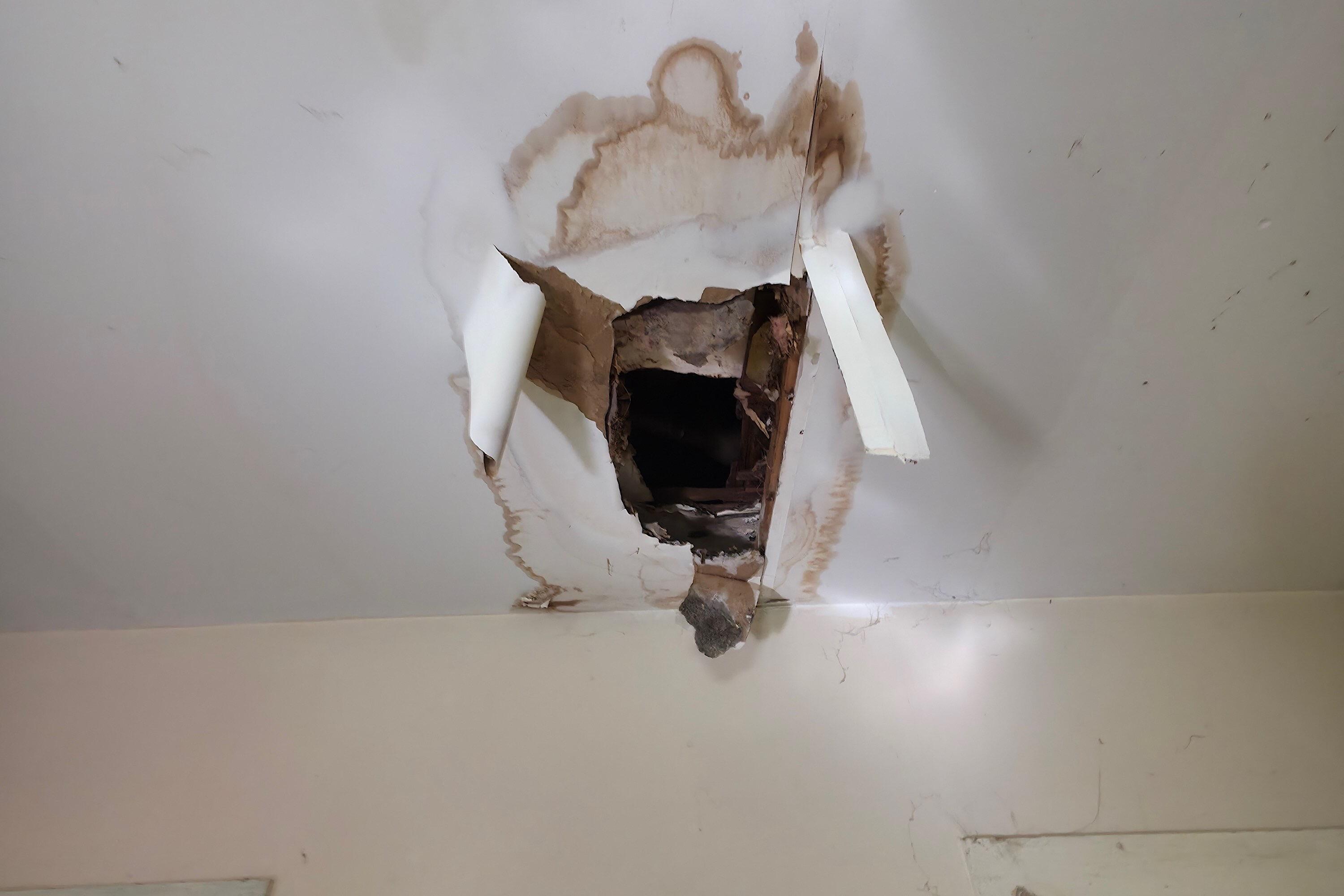 7 Forest Avenue Orono ME 04473