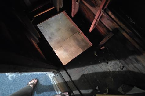 7 Forest Avenue Orono ME 04473