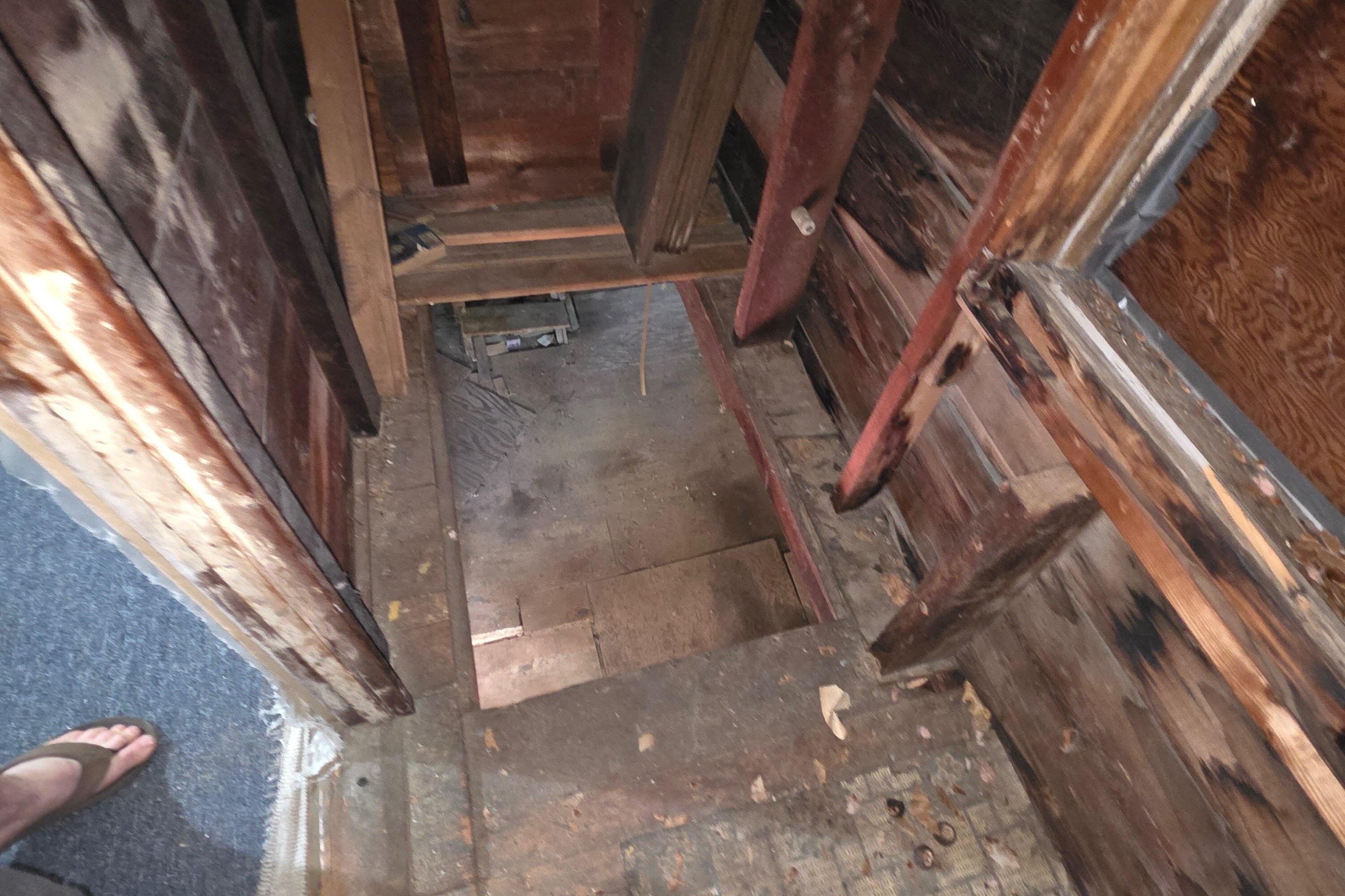 7 Forest Avenue Orono ME 04473