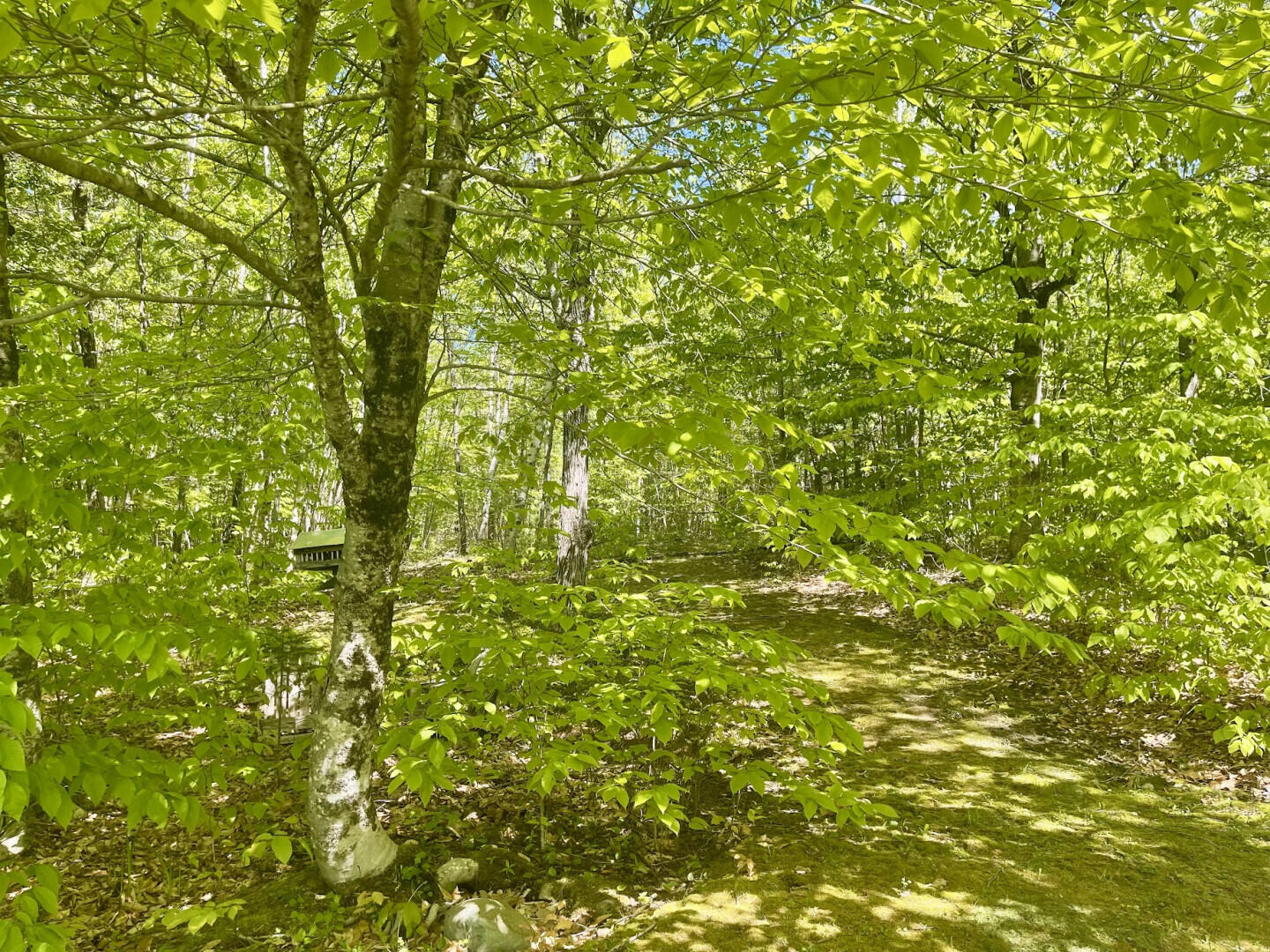 281 Tower Road Vienna ME 04360