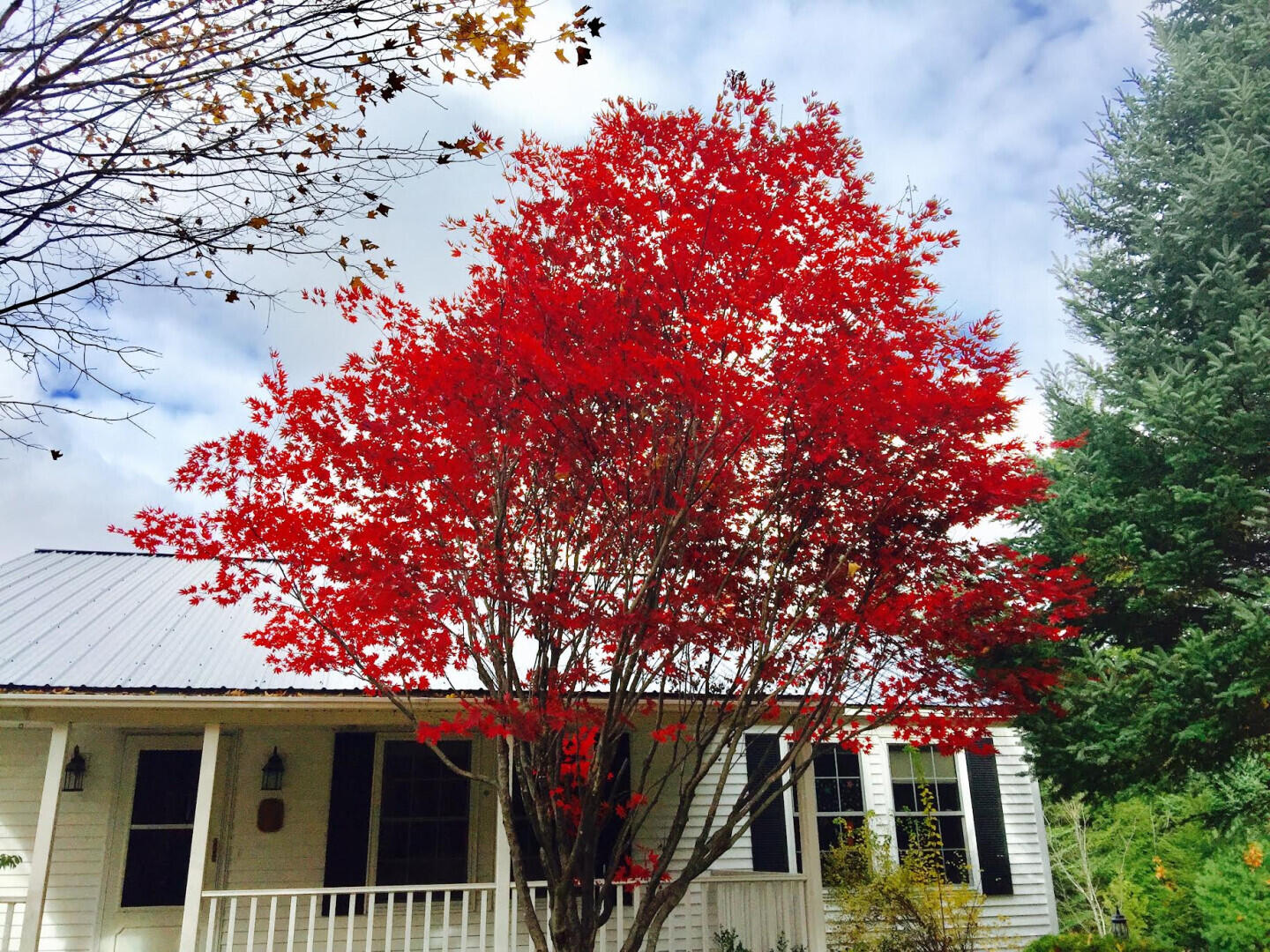 281 Tower Road Vienna ME 04360