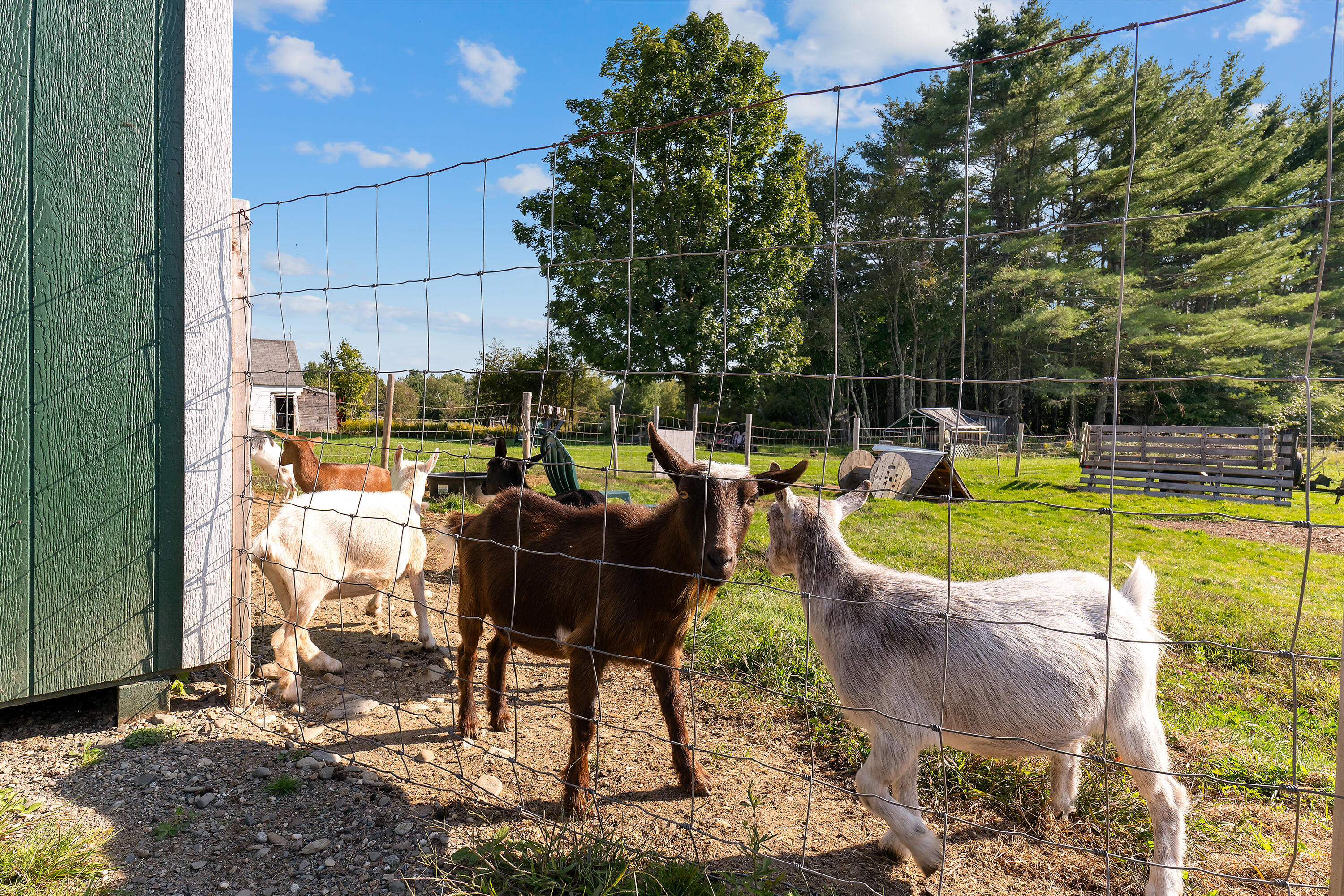 170 New England Road Searsmont ME 04973