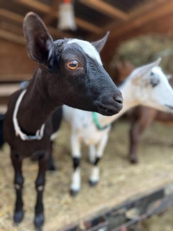 170 New England Road Searsmont ME 04973