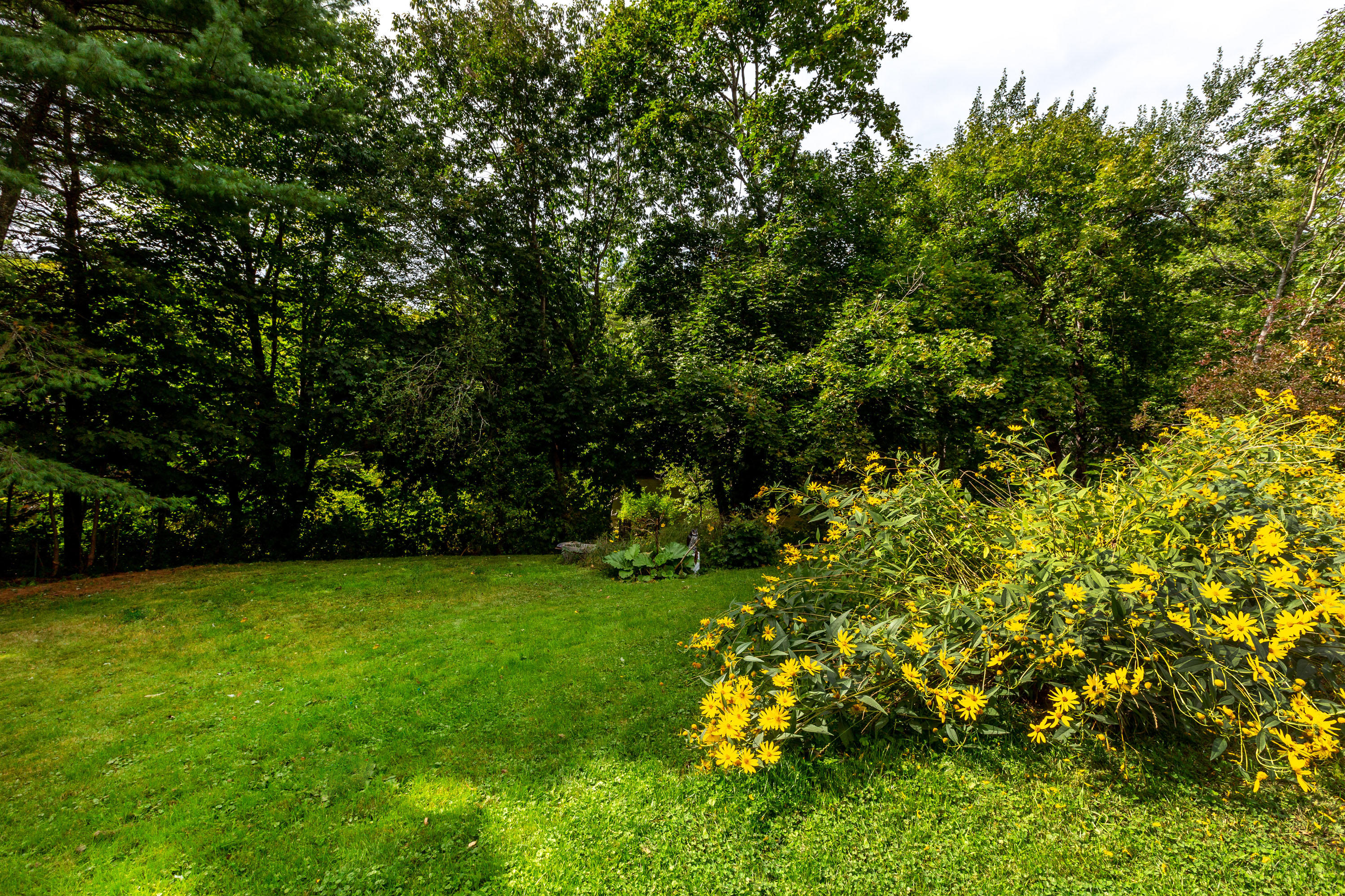 1 Shenandoah Road Bath ME 04530