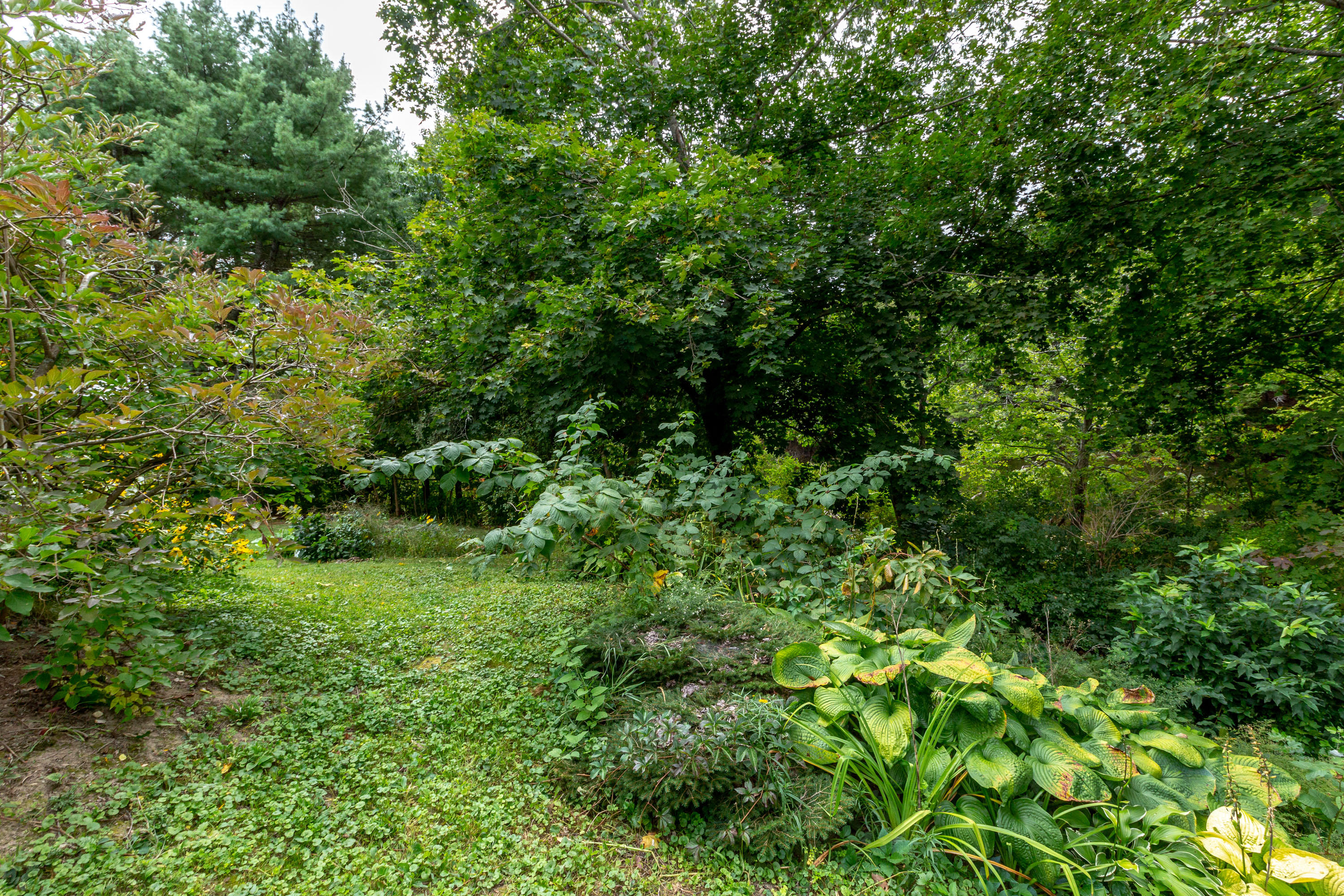 1 Shenandoah Road Bath ME 04530