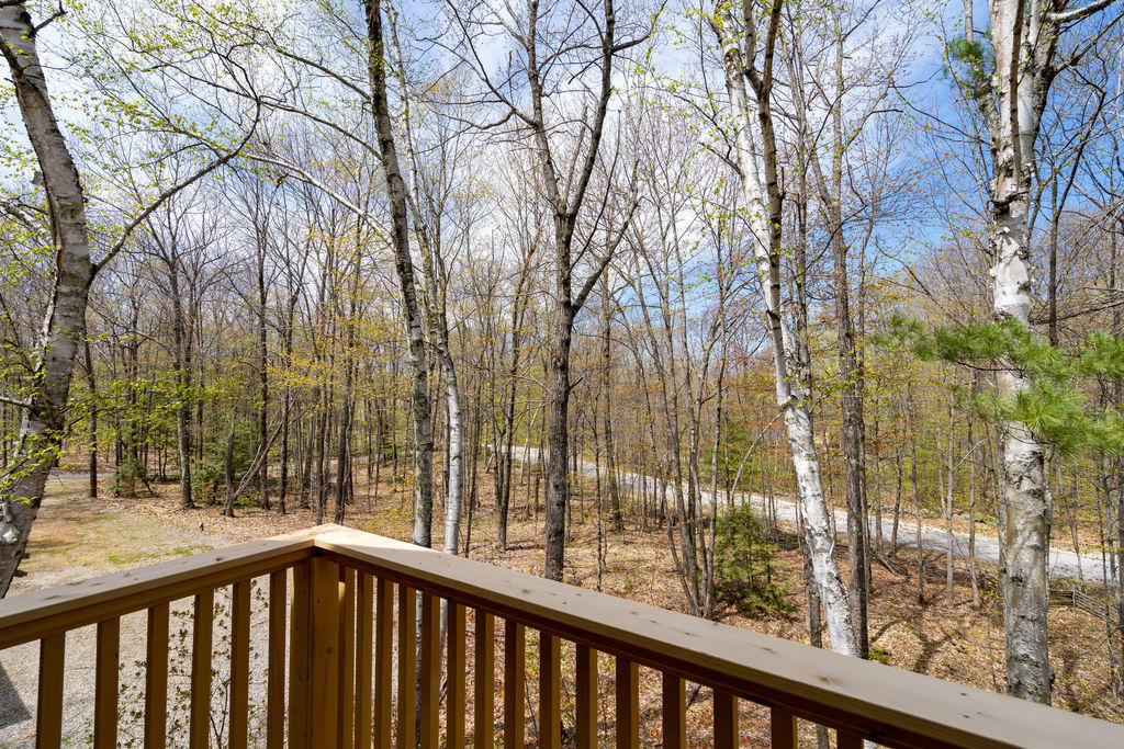 22 Birchwood Lane Poland ME 04274