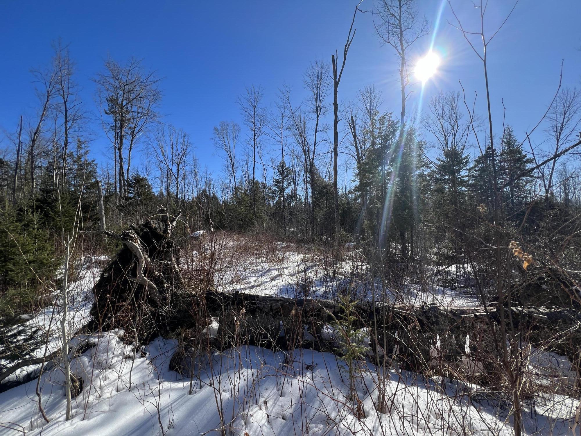 Lot #9 Grove Lane Burlington ME 04417