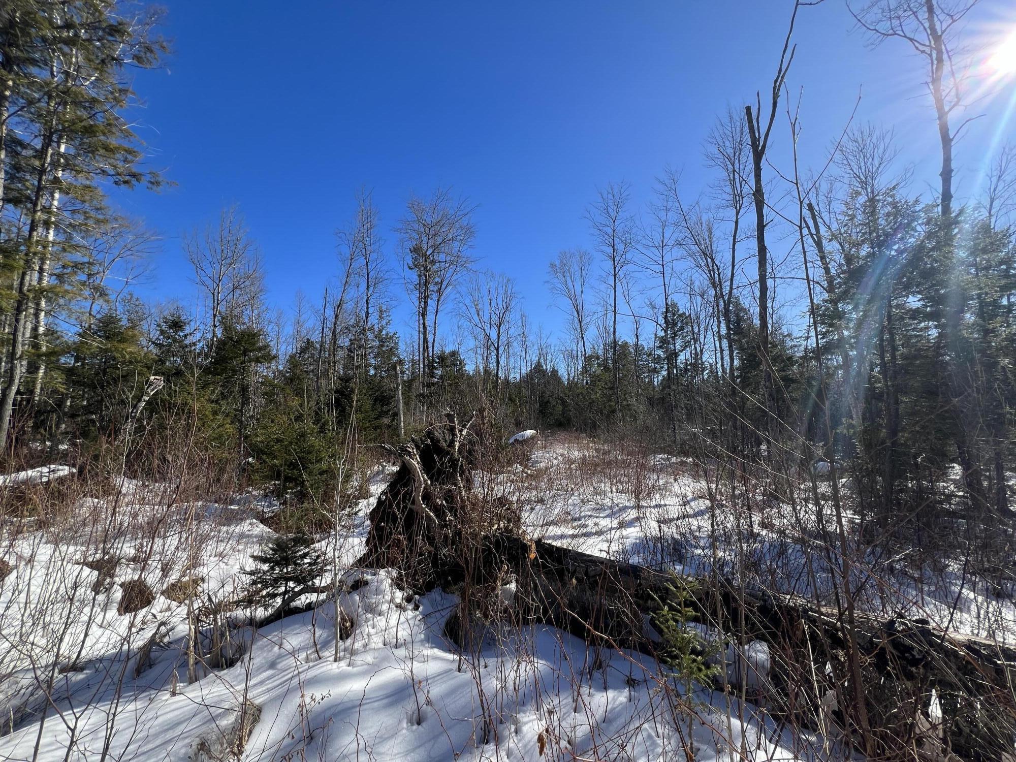 Lot #9 Grove Lane Burlington ME 04417