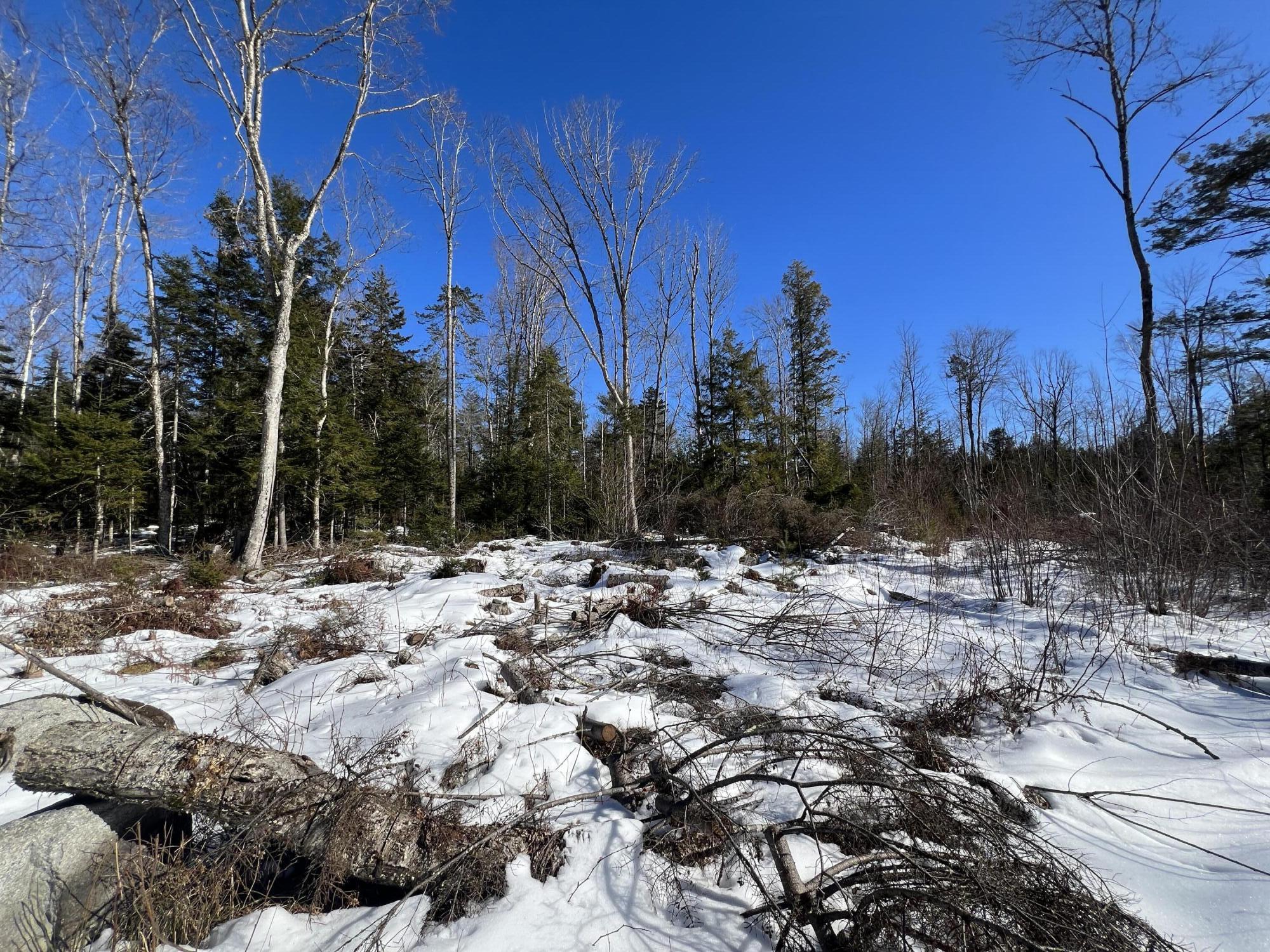Lot #9 Grove Lane Burlington ME 04417