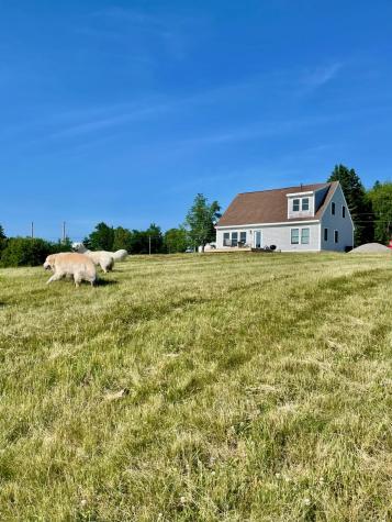 346 W Side Road Addison ME 04606