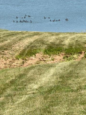 346 W Side Road Addison ME 04606