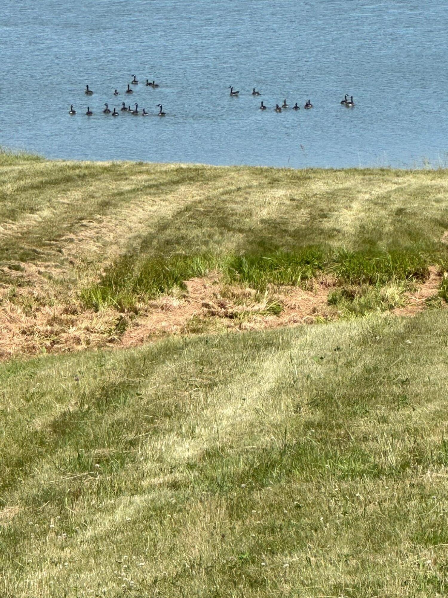 346 W Side Road Addison ME 04606