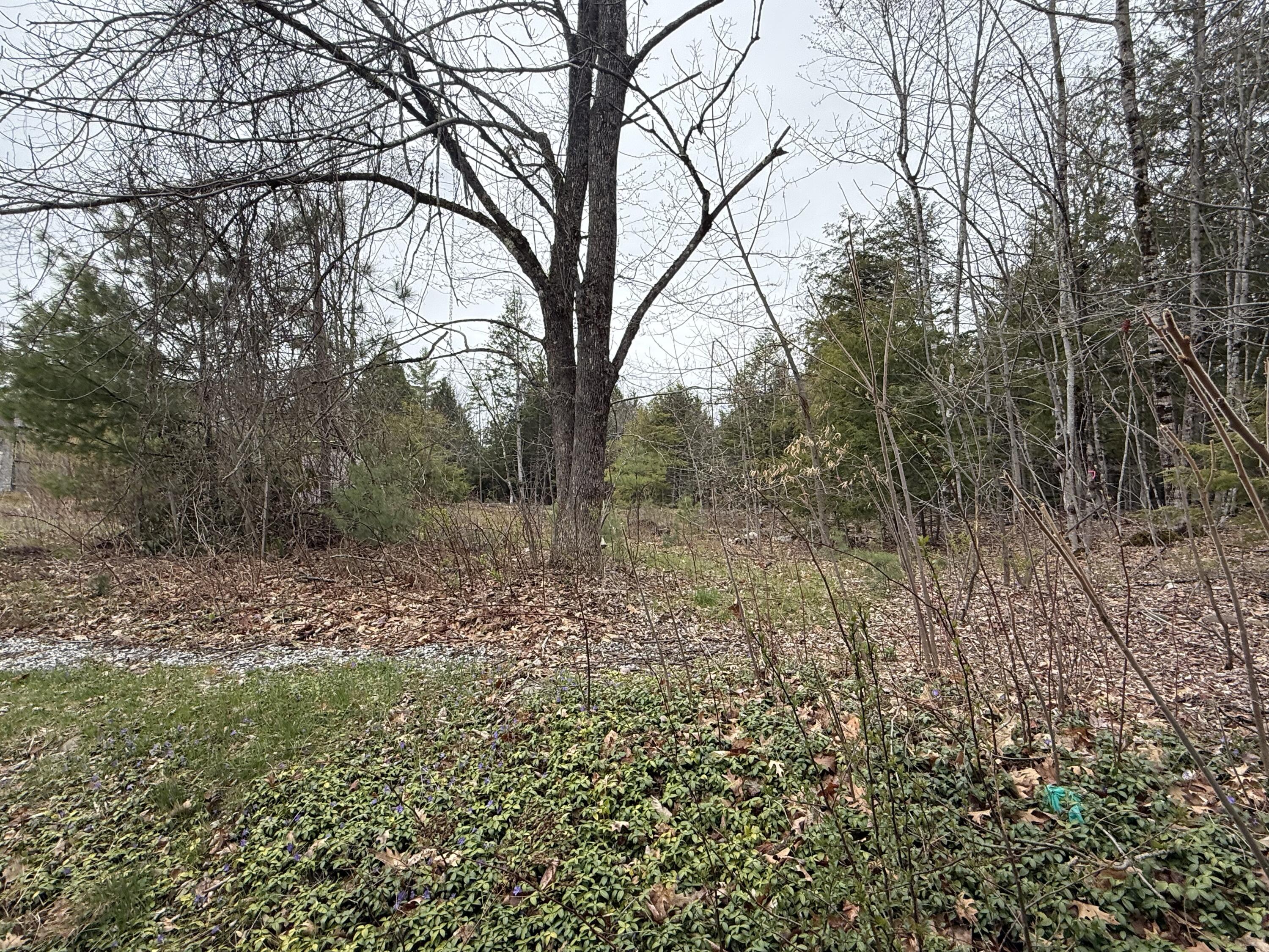 1422 Sokokis Trail Waterboro ME 04061