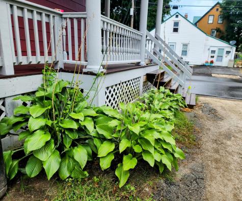 10 Ashe Street Auburn ME 04210