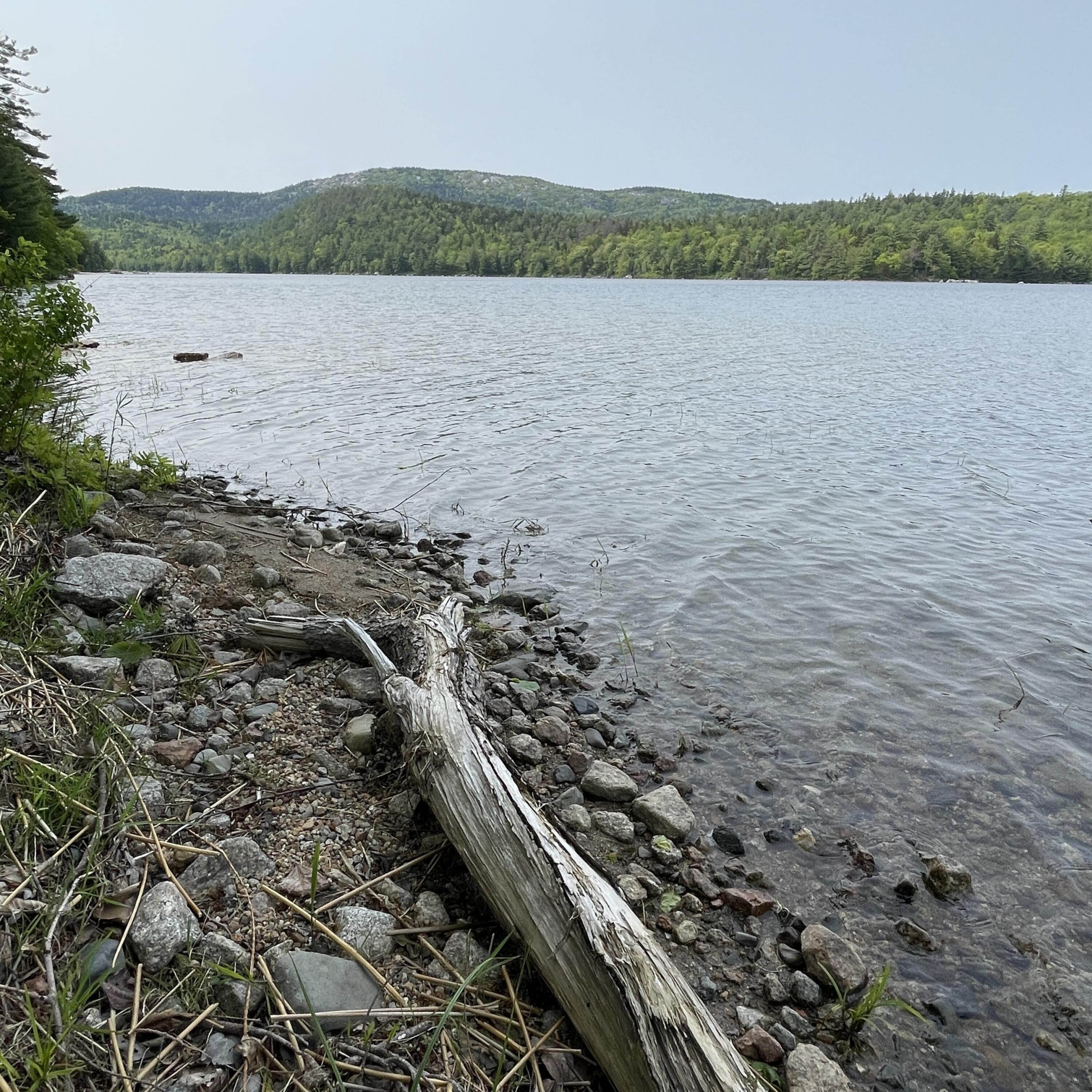 213 Spring River Lake T10 Sd ME 04622