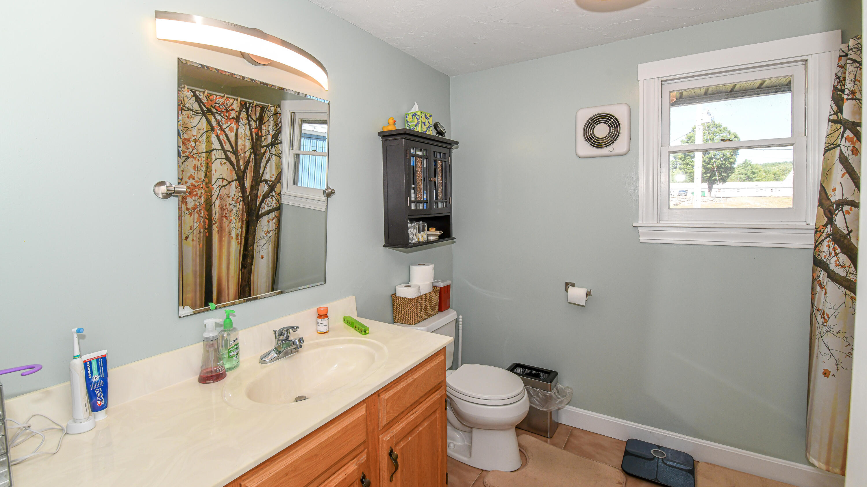 17 Dyvonne Terrace Bridgton ME 04009