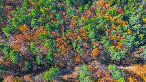 77 Fuller Lane Denmark ME 04022