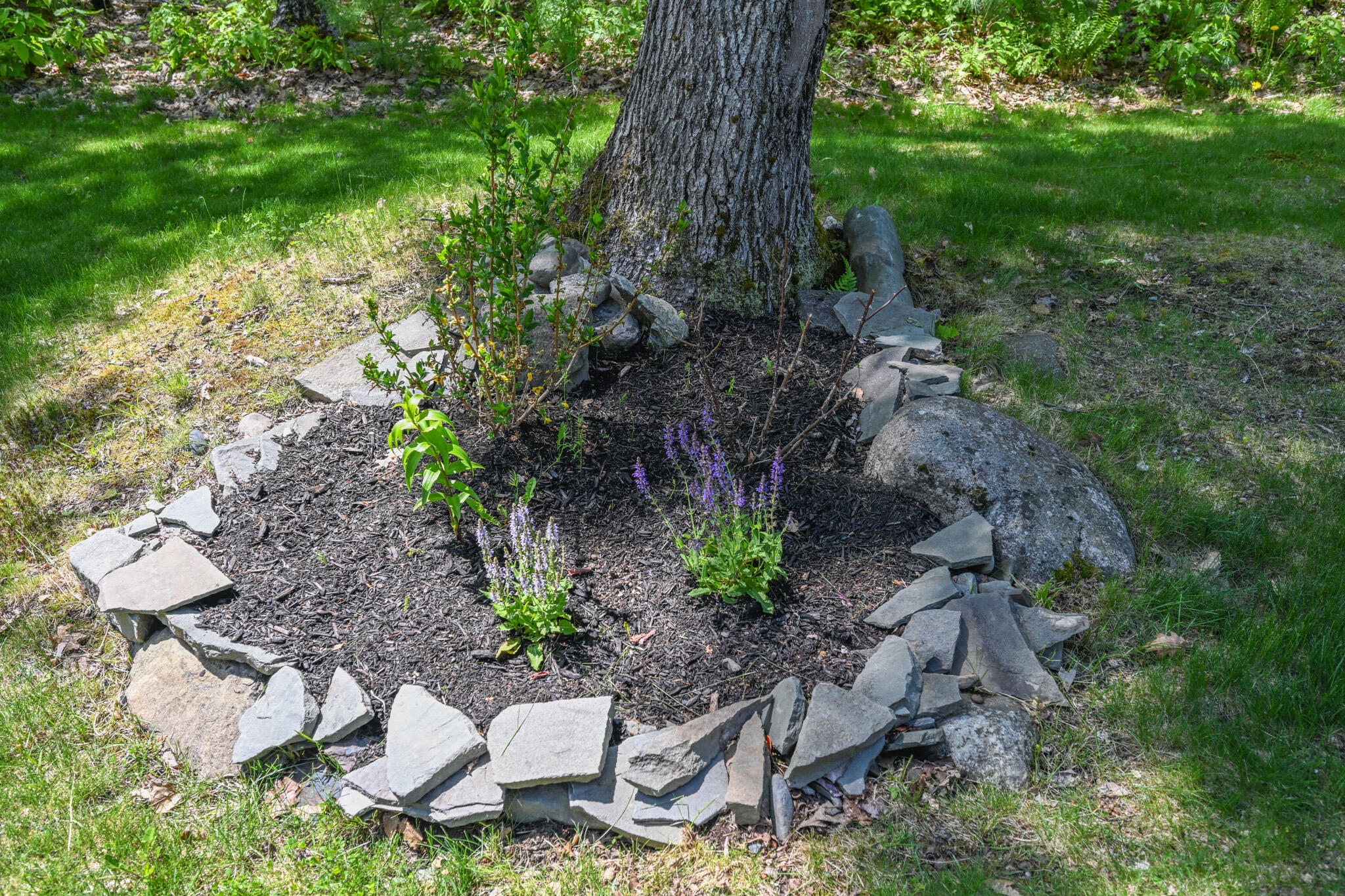 198 Chemo Pond Road Eddington ME 04428