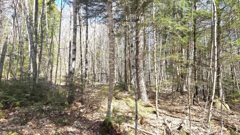 357 Lakeville Road Lakeville ME 04487