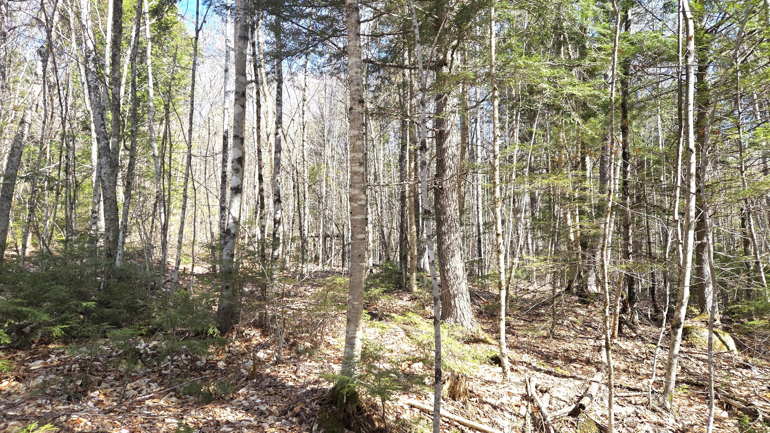 357 Lakeville Road Lakeville ME 04487