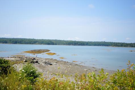 20 Town Landing Road Sullivan ME 04664