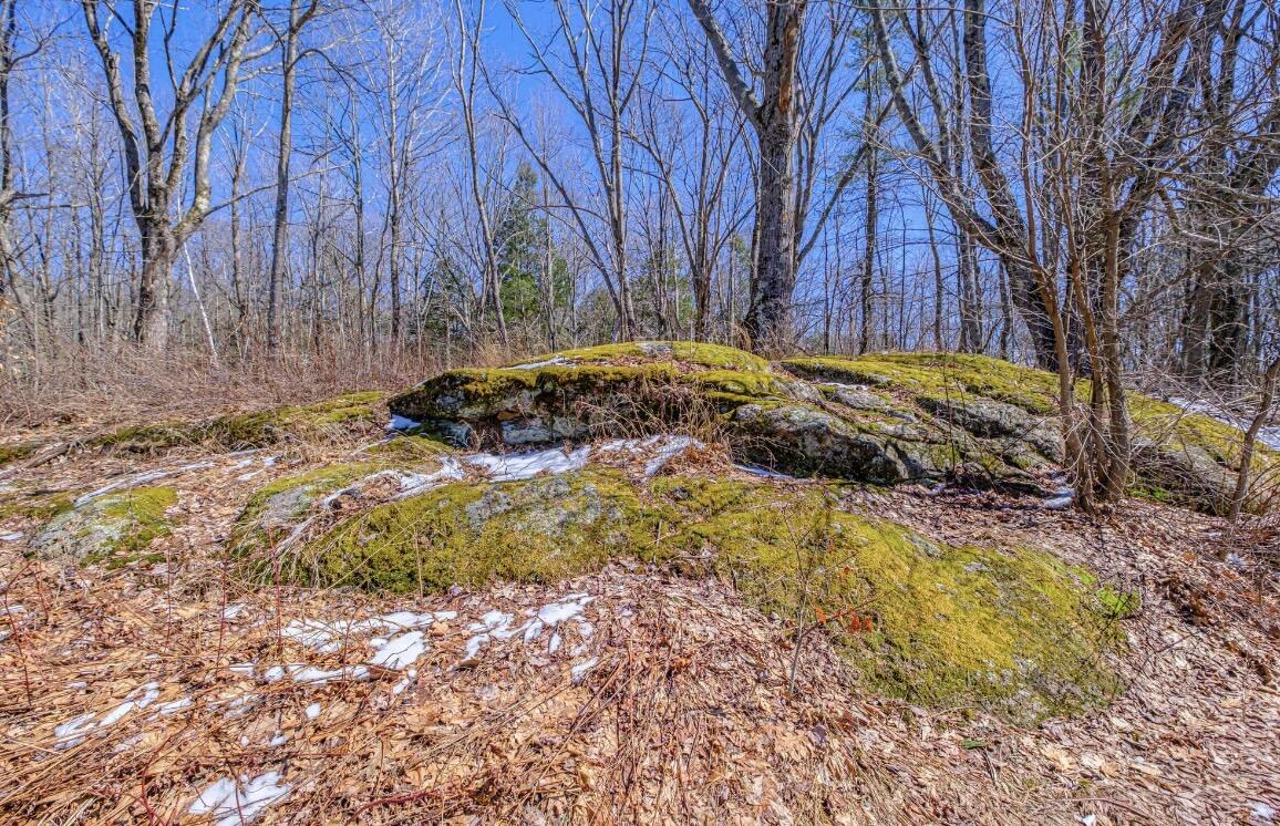 162 Durham Road Freeport ME 04032