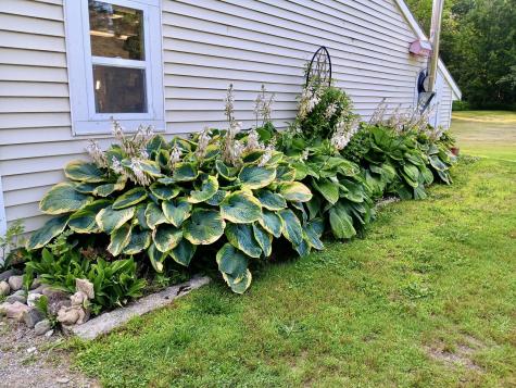 55 Christian Hill Road Charleston ME 04422