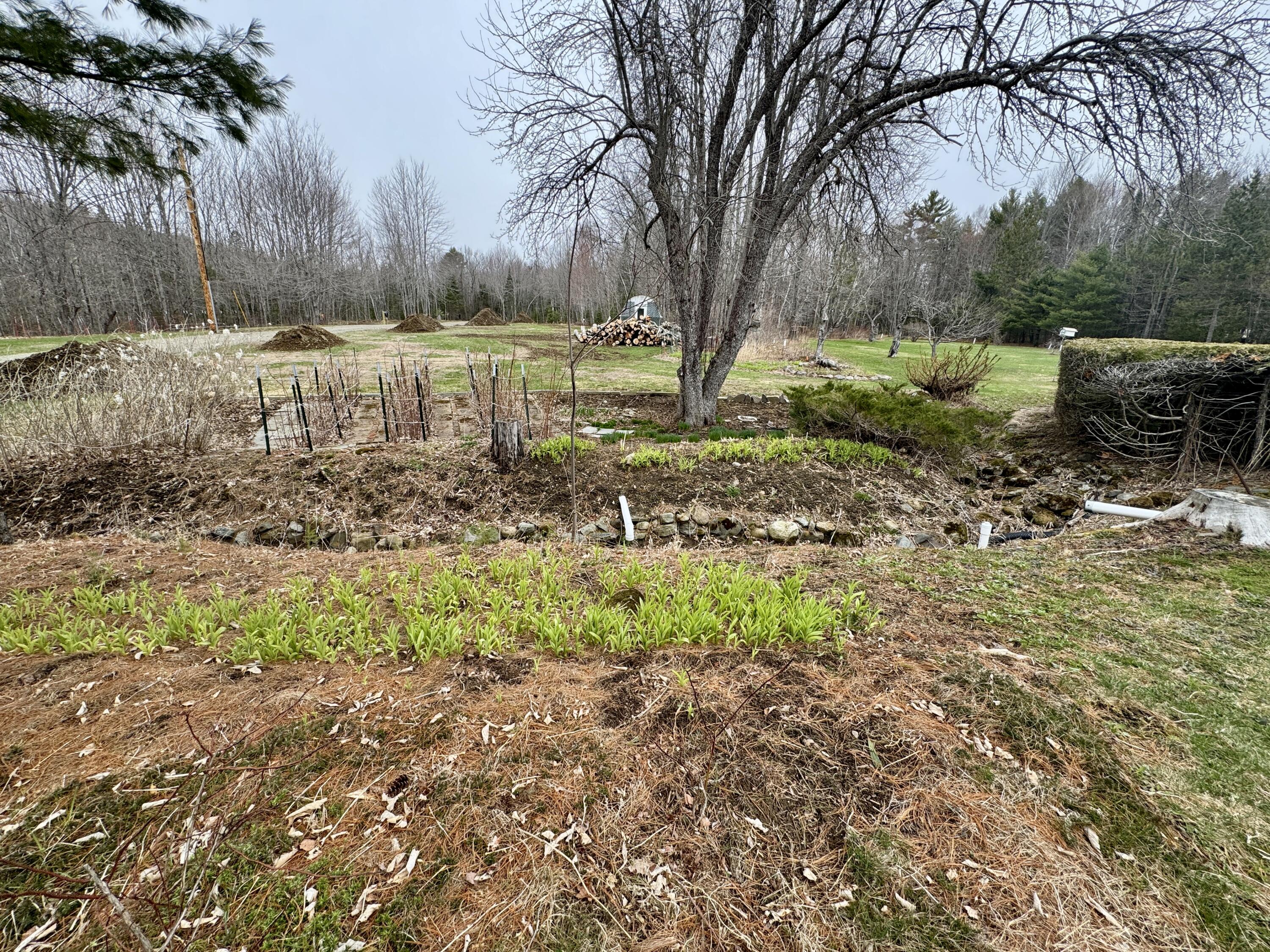 55 Christian Hill Road Charleston ME 04422