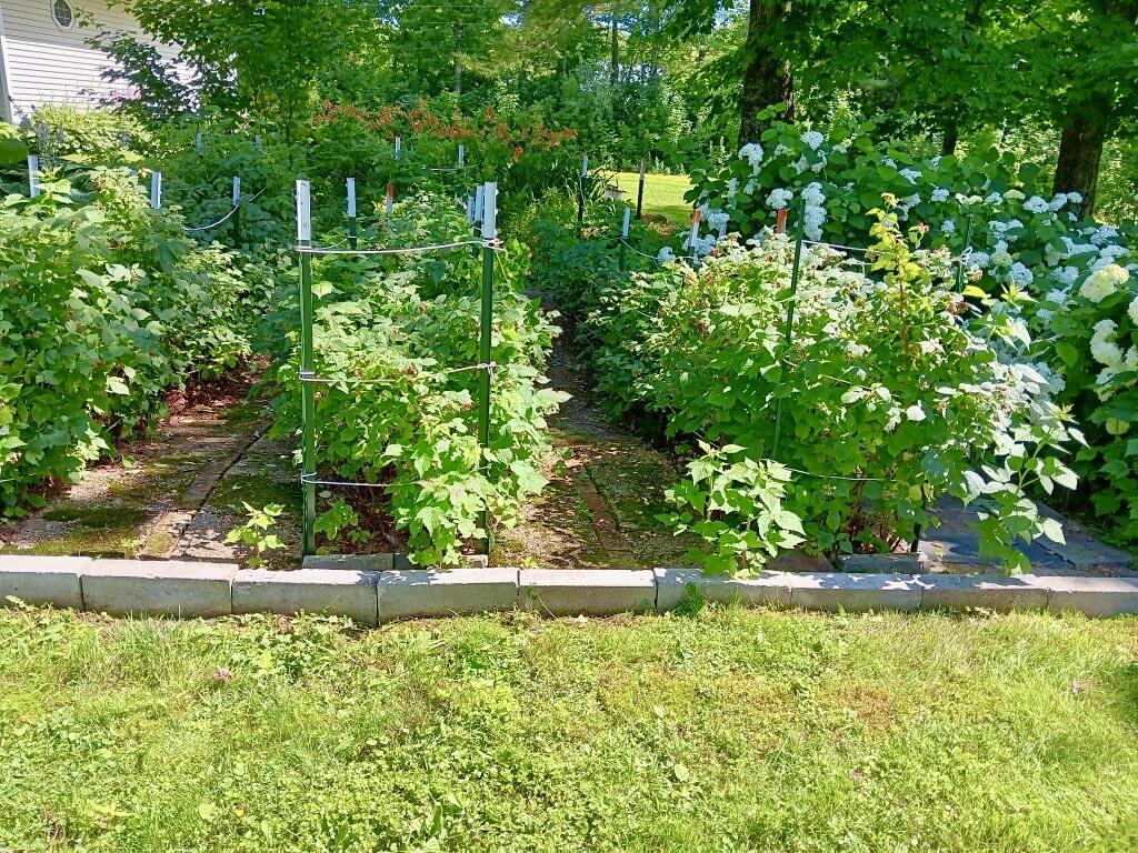 55 Christian Hill Road Charleston ME 04422