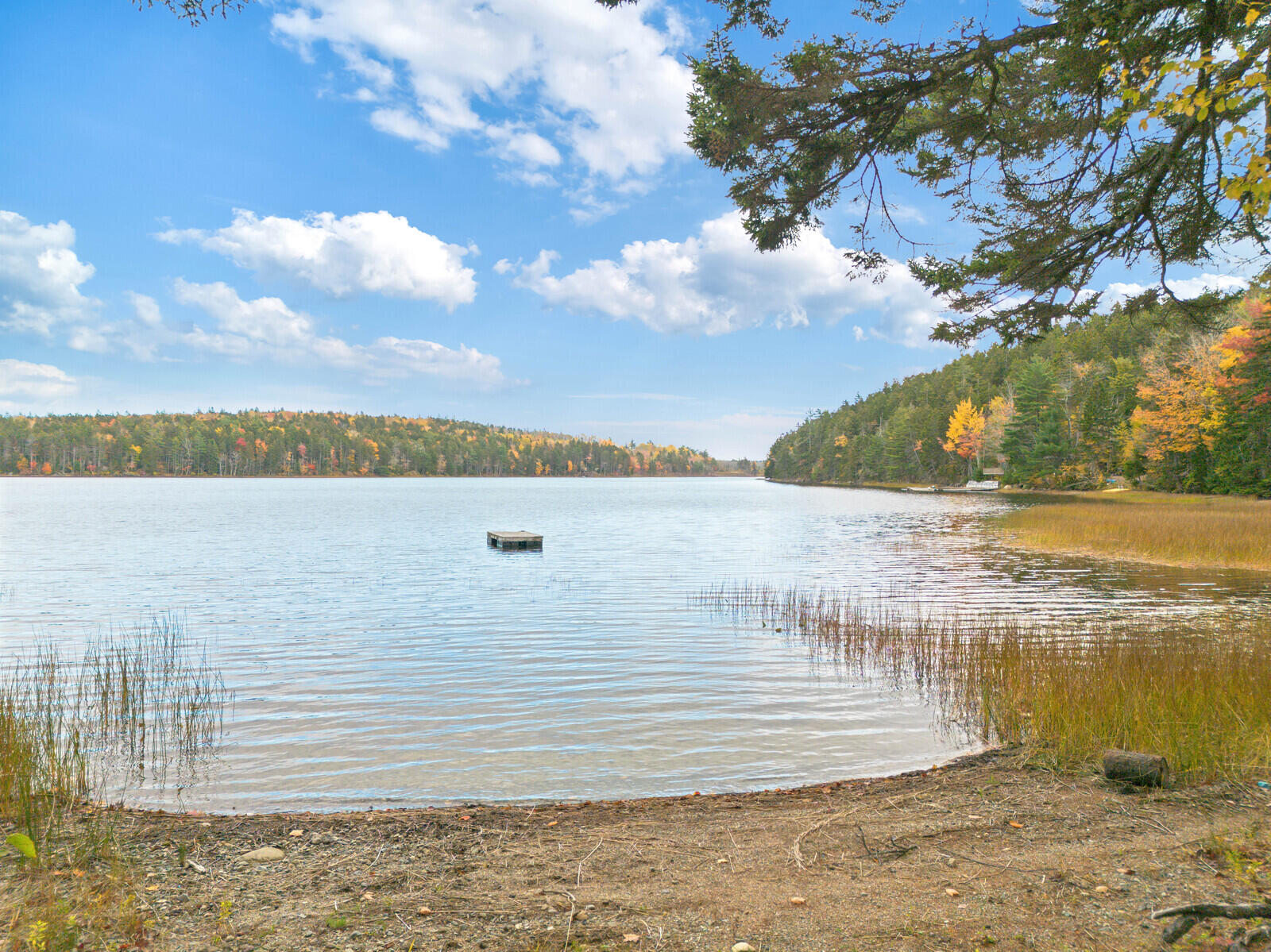 23 Bullfrog Cove Road Gouldsboro ME 04607