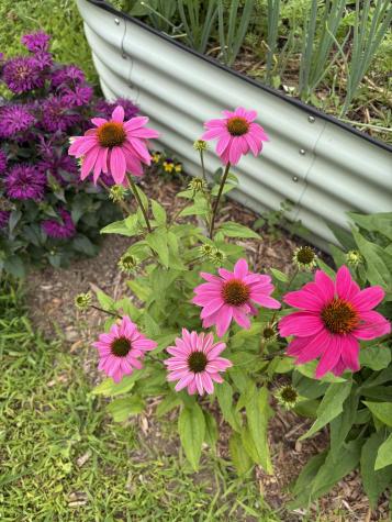 105 Winter Street Lewiston ME 04240