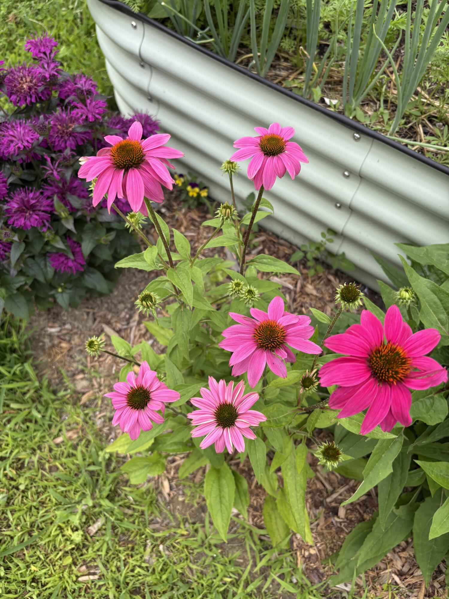 105 Winter Street Lewiston ME 04240