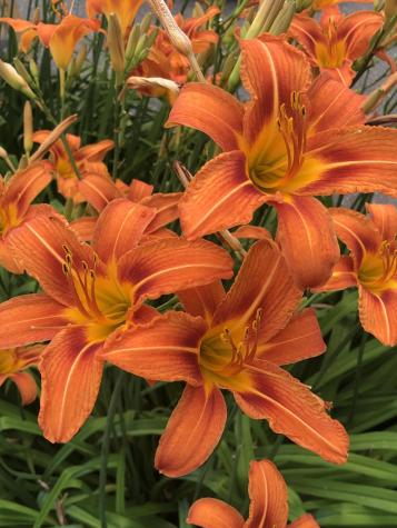 105 Winter Street Lewiston ME 04240