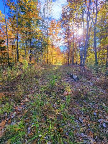 17 Treetop Lane Jay ME 04239