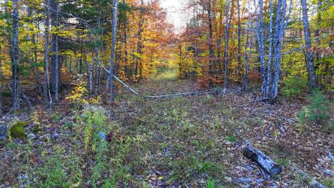 17 Treetop Lane Jay ME 04239