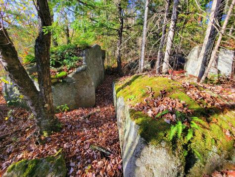 17 Treetop Lane Jay ME 04239