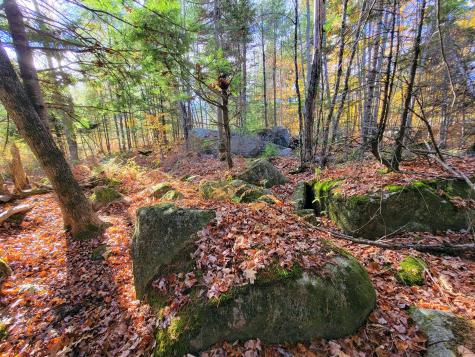 17 Treetop Lane Jay ME 04239