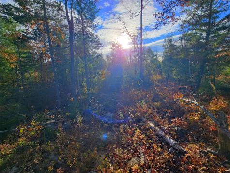 17 Treetop Lane Jay ME 04239