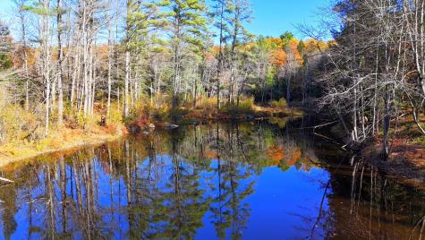 17 Treetop Lane Jay ME 04239